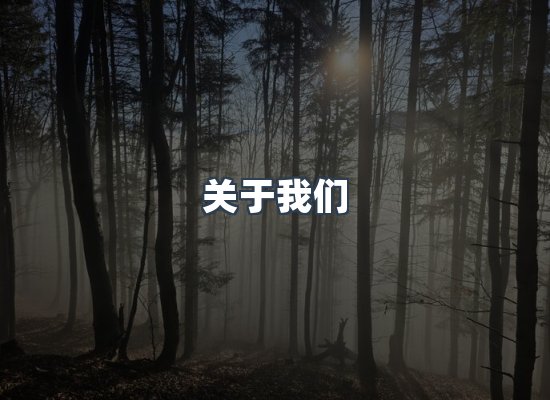 专业团队